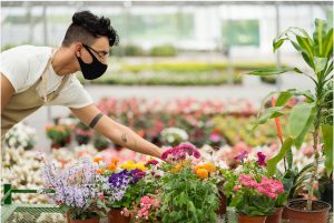 Start Doing Business in China? Read These 5 Tips