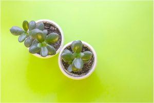 How to Start Buying Products from China?