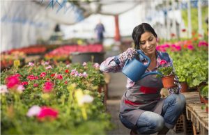 Planning Your Business Trip to China