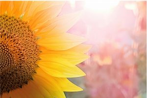 4 Tips for a Better China Business Trip