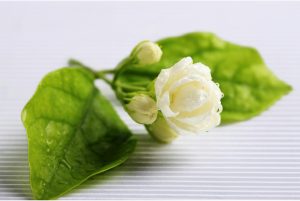 3 Tips About How to Get Good Price from Suppliers