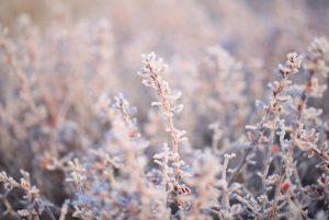 Valuable Tips about Improving Amazon Ranking