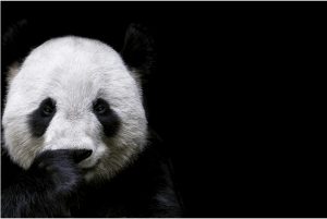 Step to Step Guidance to Importing Products from China