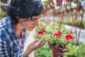 How to Get Quality Goods from China?