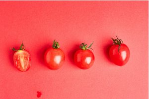 Difference Between Sourcing Company & Trading Company