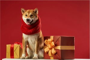 Buy High-Quality Low-Price Products from China, Is It Possible?